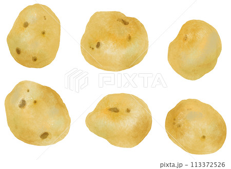 水彩で描いたジャガイモ 113372526