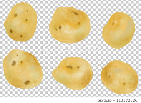水彩で描いたジャガイモ 113372526