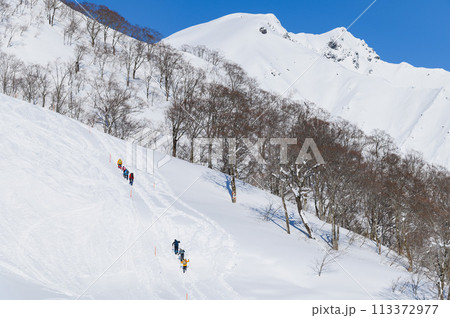 (群馬県)厳冬の谷川岳・天神尾根を登る登山者たち (群馬県)厳冬の谷川岳・天神尾根を登る登山者たち 113372977