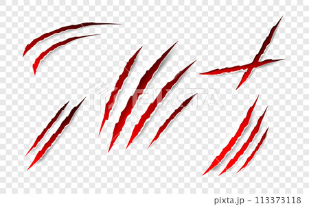 Claws scratches - vector isolated. Claws scratches animal claw tracks cat or tiger bear or lion attack nails scratches. Horror, halloween monster. Vector 113373118