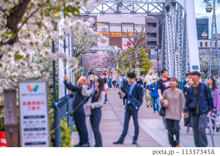 日本の横浜都市景観 夕暮れに浮かび上がる汽車道の桜。満開を楽しむ花見客ら＝4月8日 113373458