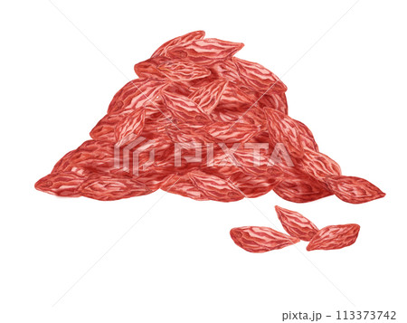 Dry goji berries in watercolor isolated on white background. Hand drawn clipart of licum barbarum dry fruits. Design for printing, packaging, cards, superfood posters and textile 113373742