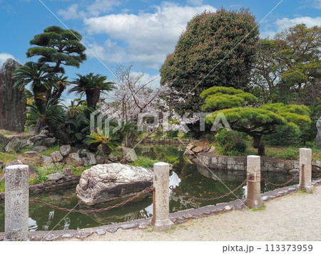 兵庫県 高砂市 曽根天満宮 桜 113373959