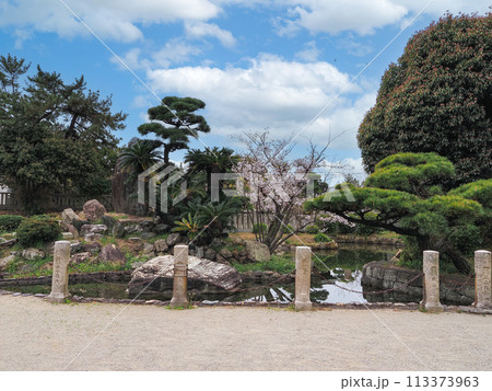 兵庫県 高砂市 曽根天満宮 桜 兵庫県 高砂市 曽根天満宮 桜 113373963