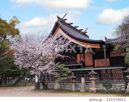 兵庫県 高砂市 曽根天満宮 桜 113374021