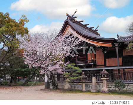 兵庫県 高砂市 曽根天満宮 桜 113374022