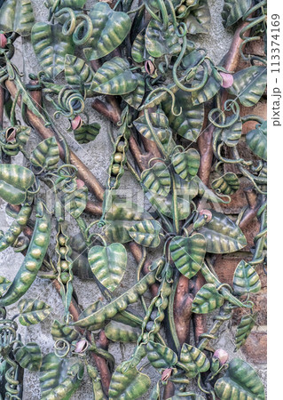 The pea plant is wrought iron as a background The pea plant is wrought iron as a background 113374169