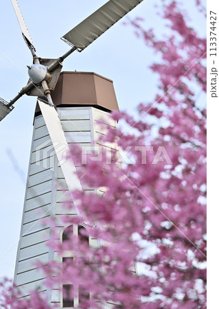 春の見沼の風景　埼玉県　さいたま市 113374427