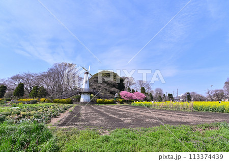 春の見沼の風景　埼玉県　さいたま市 113374439