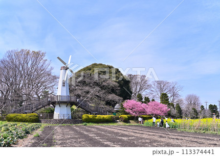 春の見沼の風景　埼玉県　さいたま市 113374441