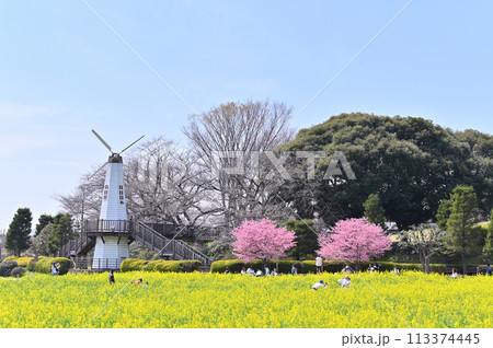 春の見沼の風景 埼玉県 さいたま市 春の見沼の風景 埼玉県 さいたま市 113374445