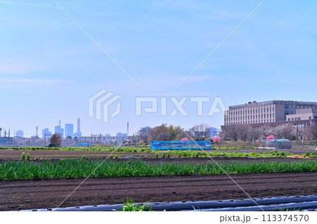 春の見沼の風景　埼玉県　さいたま市　さいたま新都心・大宮方面 113374570