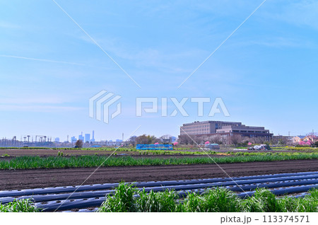春の見沼の風景 埼玉県 さいたま市 さいたま新都心・大宮方面 春の見沼の風景 埼玉県 さいたま市 さいたま新都心・大宮方面 113374571