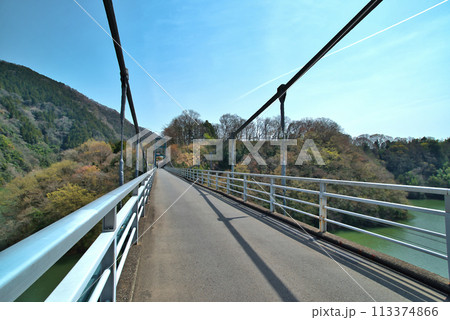 神奈川県津久井湖 早春の名手橋の風景 神奈川県津久井湖 早春の名手橋の風景 113374866
