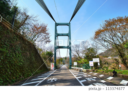 神奈川県津久井湖 早春の名手橋の風景 神奈川県津久井湖 早春の名手橋の風景 113374877