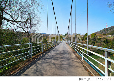 神奈川県津久井湖 早春の名手橋の風景 神奈川県津久井湖 早春の名手橋の風景 113374881