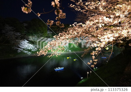 千鳥ヶ淵のライトアップされた夜桜の春風景 千鳥ヶ淵のライトアップされた夜桜の春風景 113375326