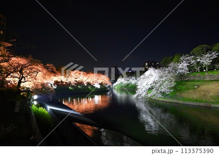 千鳥ヶ淵の夜桜の春の風景 千鳥ヶ淵の夜桜の春の風景 113375390