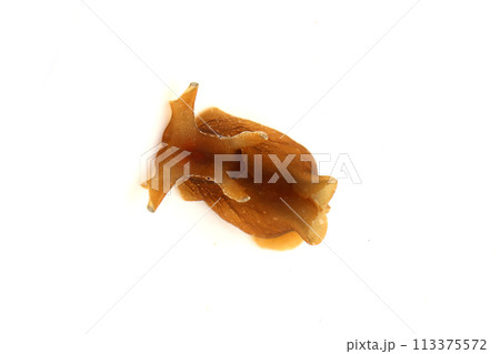 アメフラシ 113375572