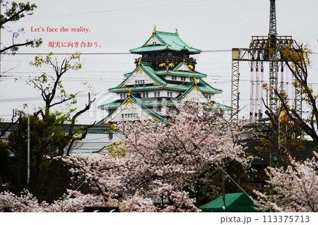 現実に向き合おう。 現実に向き合おう。 113375713