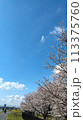 春の飛行機雲 113375760