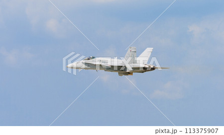 アメリカ海軍F/A-18Cホーネット離陸 113375907