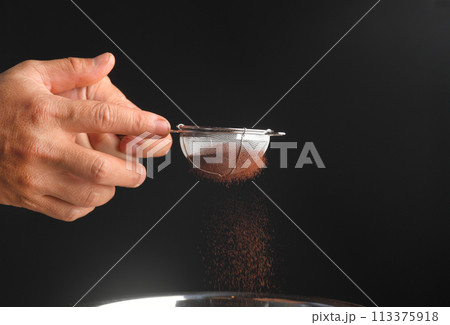 コアパウダー 113375918