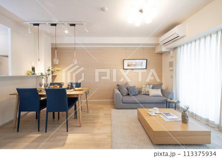 リビングルーム　住宅 113375934