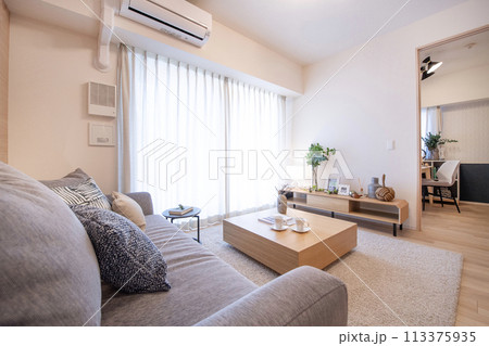 リビングルーム　住宅 113375935
