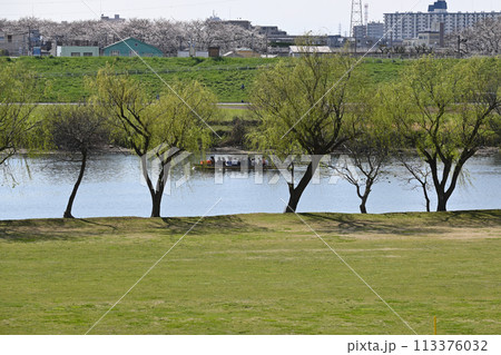 春の江戸川堤(千葉県松戸市)、矢切の渡し 春の江戸川堤(千葉県松戸市)、矢切の渡し 113376032