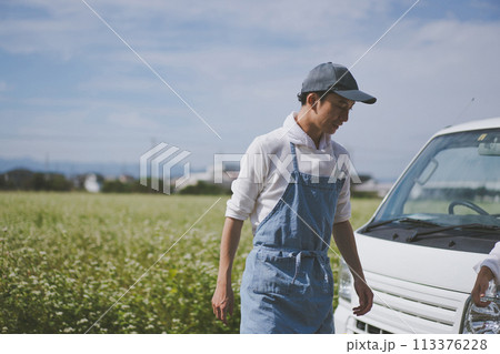 vegetable field vegetable field 113376228