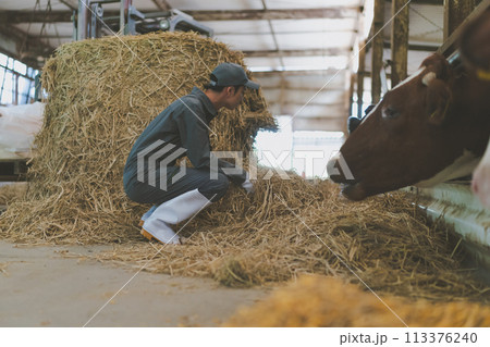 ranch ranch 113376240