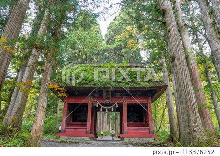 杉並木に囲まれて静かにたたずむ神社の古い門の情景 杉並木に囲まれて静かにたたずむ神社の古い門の情景 113376252