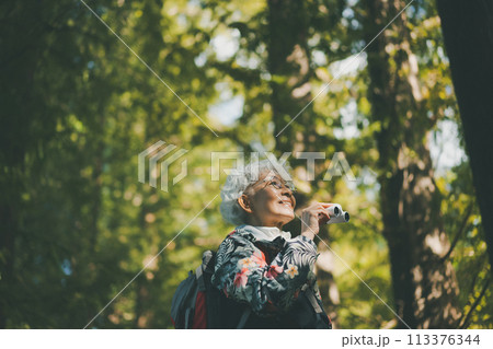 camping 113376344
