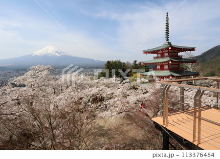 新倉富士浅間神社の展望台から富士山と桜と五重塔2 新倉富士浅間神社の展望台から富士山と桜と五重塔2 113376484