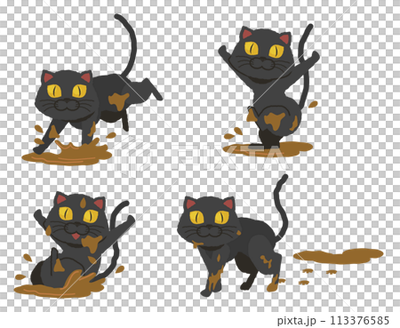 Set of black cats playing in a muddy puddle Set of black cats playing in a muddy puddle 113376585