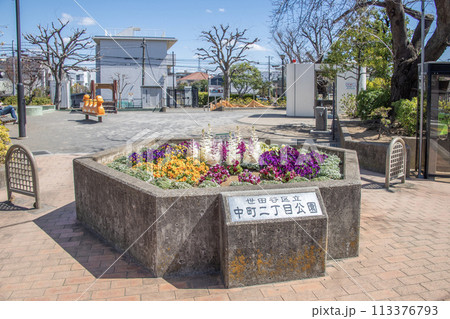 中町二丁目公園 東京都世田谷区中町 中町二丁目公園 東京都世田谷区中町 113376793