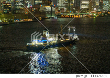 東京湾北側、港湾埠頭の夜景。 113376880