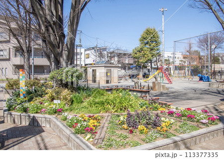 東京都世田谷区中町 玉川中町公園 東京都世田谷区中町 玉川中町公園 113377335