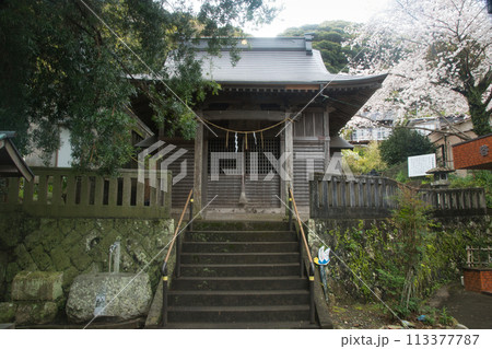 河津八幡神社 【静岡県賀茂郡河津町】 河津八幡神社 【静岡県賀茂郡河津町】 113377787