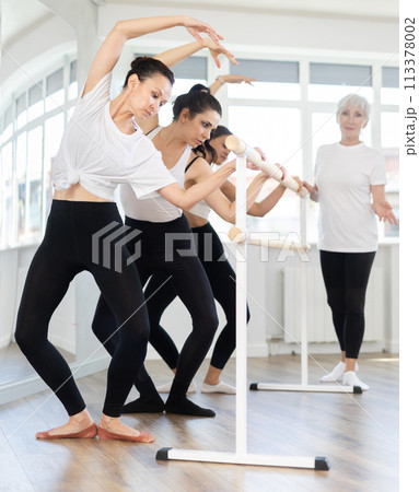 Teacher conducts class with girls in ballet studio, observes doing demi plie exercise. 113378002