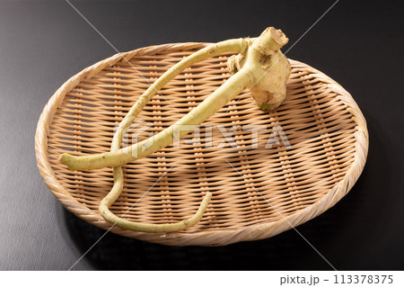 畑わさび 畑わさび 113378375