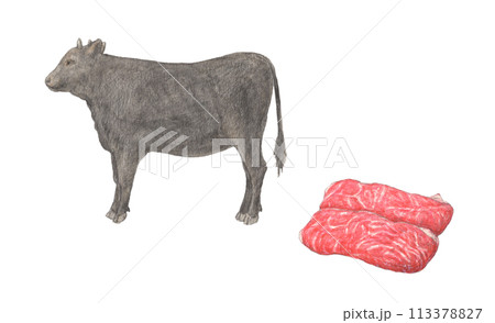 牛と牛肉 水彩色鉛筆イラスト 牛と牛肉 水彩色鉛筆イラスト 113378827