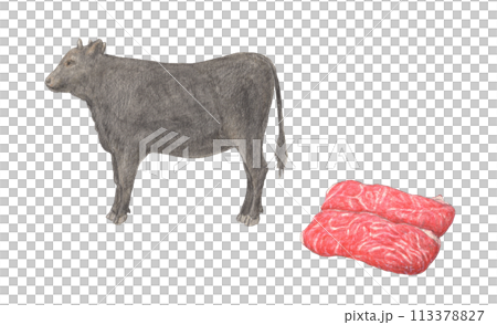 Cow and beef watercolor pencil illustration 113378827