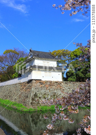 春の府内城跡（大分市） 113378888