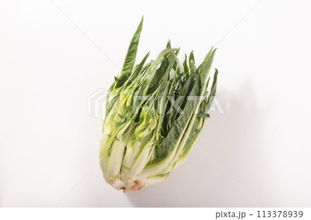 ［宮城県産］プンタレッラ （イタリア野菜） 113378939