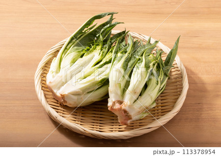 ［宮城県産］プンタレッラ （イタリア野菜） 113378954