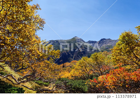 馬ノ背の紅葉と南アルプス・仙丈ヶ岳 113378971