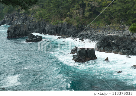 城ヶ崎海岸 【静岡県伊東市富戸】 城ヶ崎海岸 【静岡県伊東市富戸】 113379033
