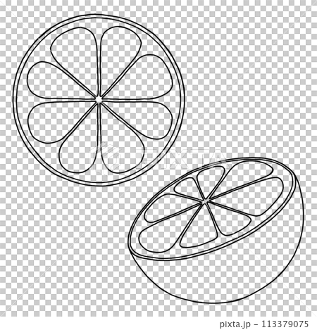 橘子的線條畫插圖 113379075